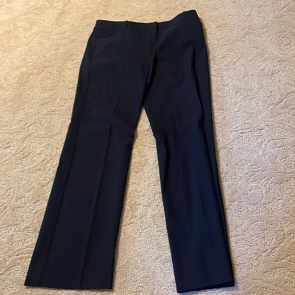 Inc stretchy pants
